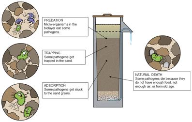 CAWST Removal Mechanisms